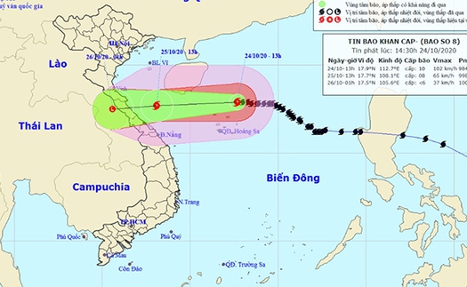 Tin bão mới nhất cơn bão số 8