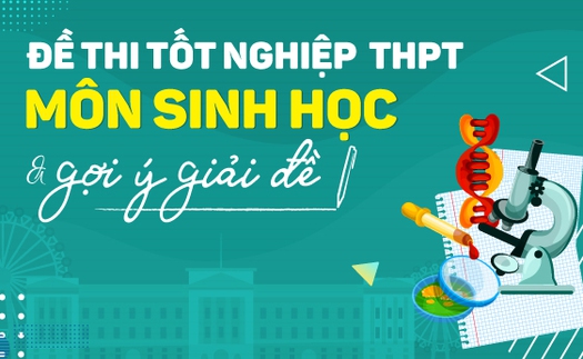 Đề thi môn Sinh học tốt nghiệp THPT quốc gia 2022