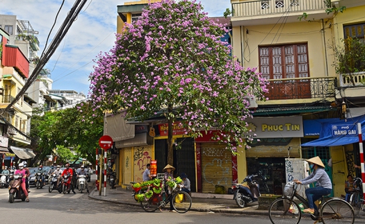 'TÔI YÊU HÀ NỘI' lên sóng Truyền hình Hà Nội vào 19h45 ngày 1/7/2020