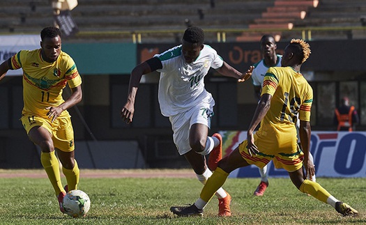 Soi kèo nhà cái Zimbabwe vs Guinea. Nhận định, dự đoán bóng đá châu Phi (23h00, 18/1)