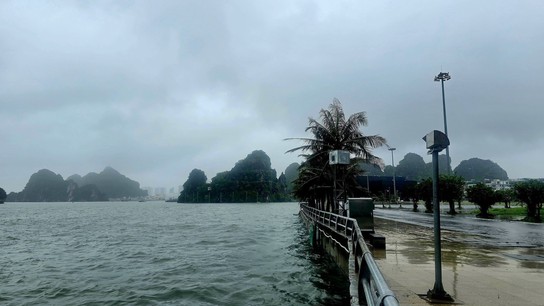 Chỉ đạo của Ban Bí thư về việc ứng phó với cơn bão số 3 Wipha