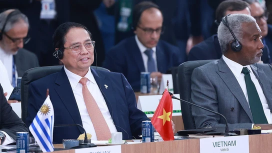 Thủ tướng dự Phiên thảo luận "Môi trường, COP 30 và Y tế toàn cầu" tại BRICS mở rộng 2025