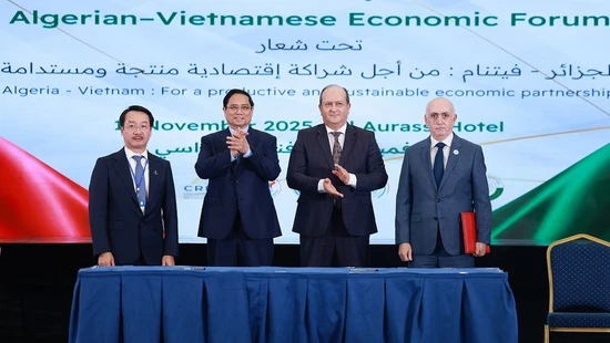 Thủ tướng Phạm Minh Chính và Thủ tướng Algeria dự Diễn đàn kinh tế Việt Nam - Algeria