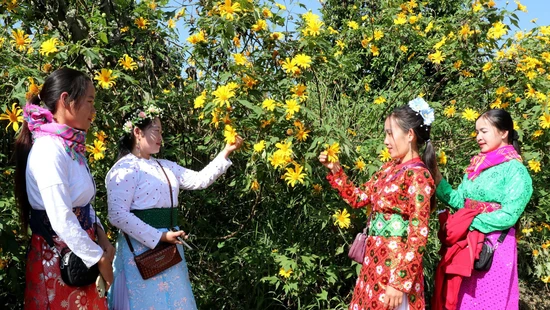 Lễ hội hoa Dã quỳ lần thứ nhất với chủ đề “Kết nối sắc vàng - Lan tỏa yêu thương”
