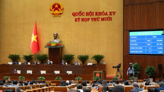 Từ bảo vệ "biên giới mềm" đến người yếu thế