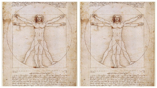 Bí mật ẩn giấu trong kiệt tác “Người Vitruvius” của Leonardo da Vinci