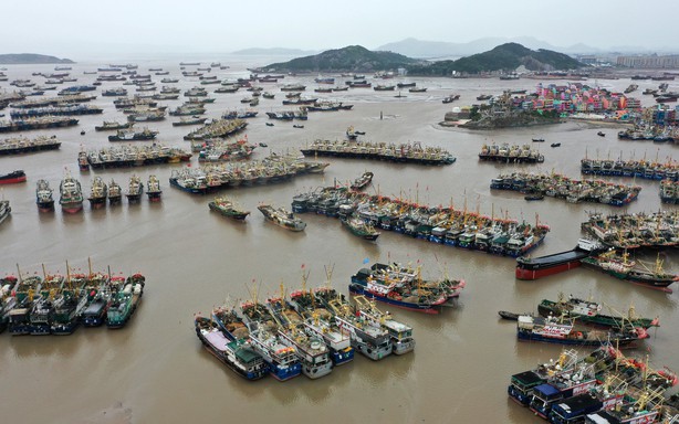 Trung Quốc: Hơn 500 người bị thương do bão Champi