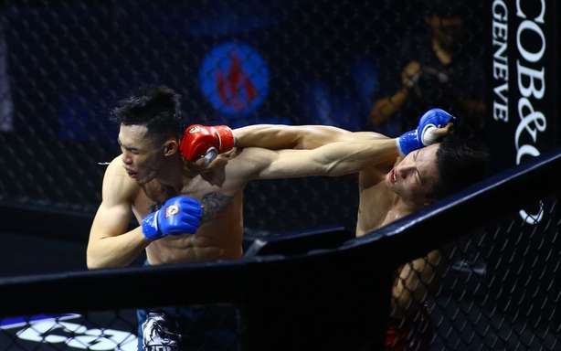 VMMAF cảnh báo khẩn về website giả mạo, sử dụng dữ liệu giải MMA trong nước để cá cược trái phép