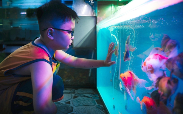 Hướng tới giải thưởng thiếu nhi Dế Mèn 2026 - Hoạ sĩ nhí Nguyễn Minh Quân: Giải mã "Tiếng nói đại dương"