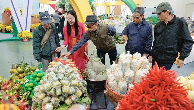 Hội chợ Mùa Xuân 2026: Kích hoạt không gian giao thương hòa nhịp cùng sắc xuân văn hóa