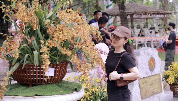 Muôn sắc lan hội tụ, níu chân du khách về Đền Hùng