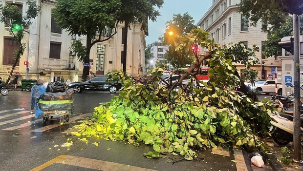 Hà Nội yêu cầu đảm bảo an toàn các công trình xây dựng mùa mưa bão