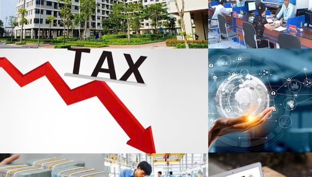 Cắt giảm hơn 3.400 thủ tục hành chính, điều kiện kinh doanh