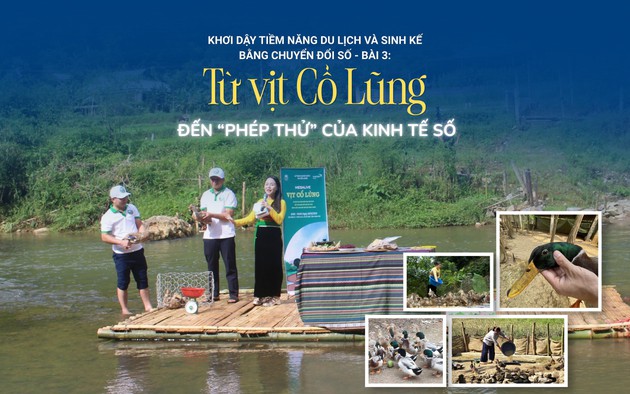 Từ vịt Cổ Lũng đến "phép thử" của kinh tế số