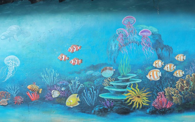 Hài hòa giữa phát triển du lịch và bảo tồn biển trên đảo An Bình