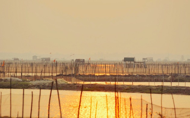 Ngắm bình minh trên phá Tam Giang, Huế
