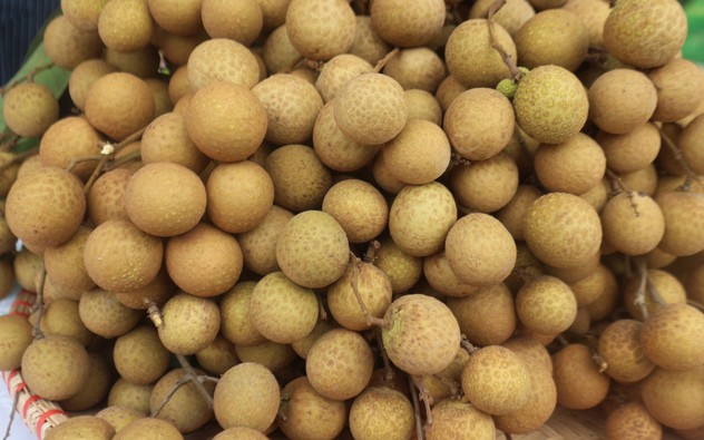 Nhãn lồng Hưng Yên, lươn Nghệ An thành di sản văn hóa phi vật thể quốc gia