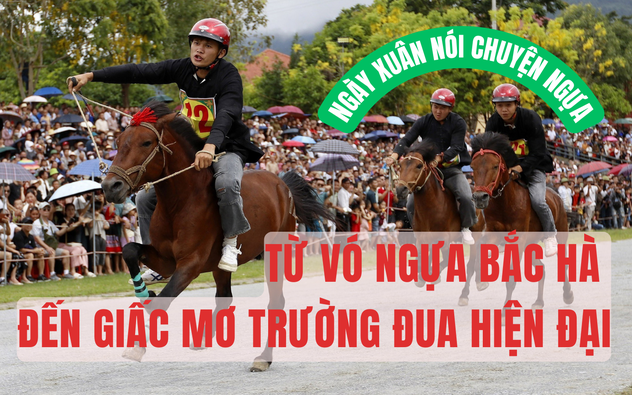 Ngày Xuân nói chuyện Ngựa: Từ vó ngựa Bắc Hà đến giấc mơ trường đua hiện đại