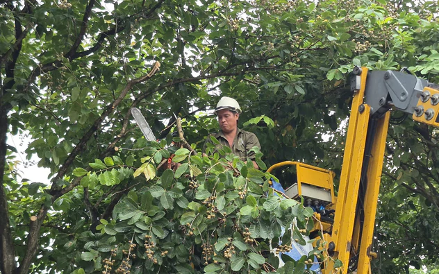 Hà Nội triển khai công tác ứng phó với bão số 4