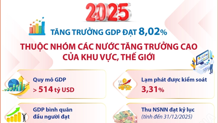 Tăng trưởng GDP đạt 8,02%, Việt Nam thuộc nhóm các nước tăng trưởng cao của thế giới