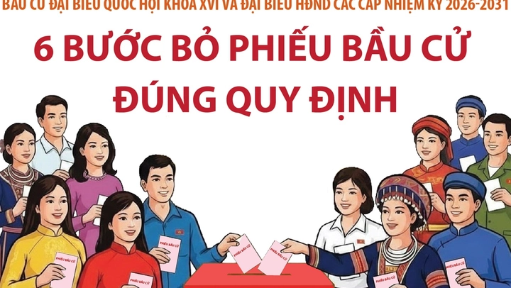 Bầu cử Quốc hội và HĐND: 6 bước bỏ phiếu bầu cử đúng quy định