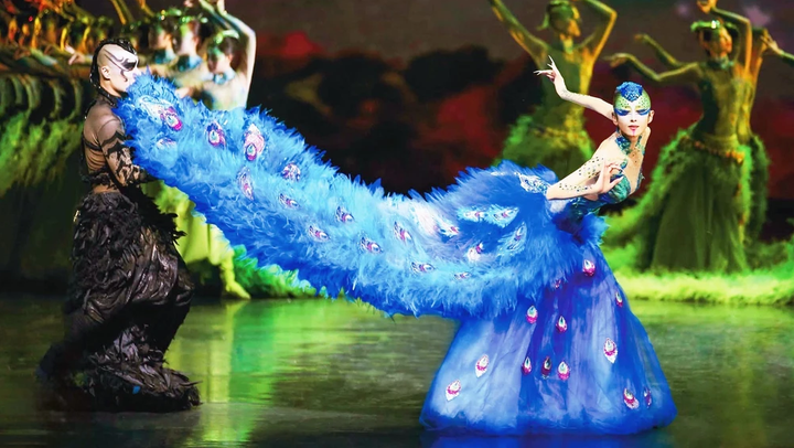 'Khổng tước' Dương Lệ Bình: Khi tinh khí thần phương Đông sải cánh trên sân khấu Hà Nội