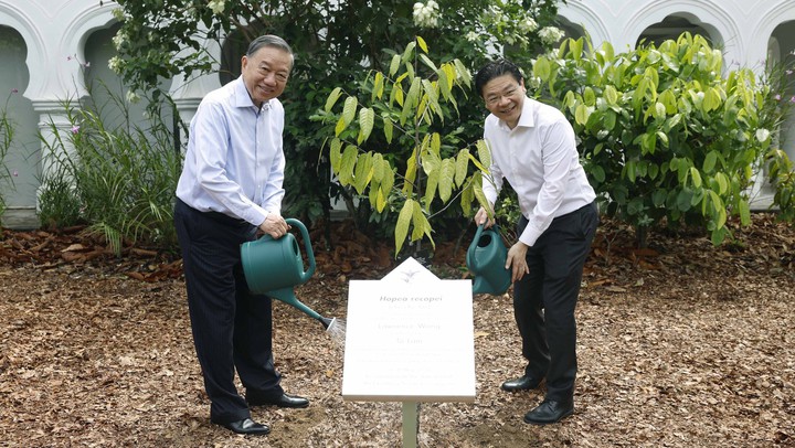 Tổng Bí thư, Chủ tịch nước Tô Lâm và Thủ tướng Singapore trồng cây tại Vườn Bách thảo Singapore