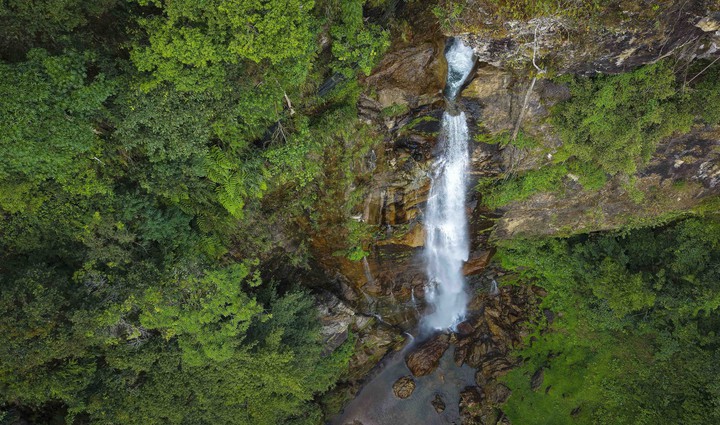 value-news-alt