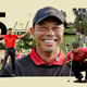 Tiger Woods tròn 50 tuổi: Huyền thoại golf còn đủ sức tạo kỳ tích cuối cùng?