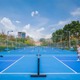 Nếm trái đắng khi chạy theo trào lưu mở sân pickleball