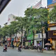 Hà Nội: Các biện pháp nhằm điều chỉnh mật độ cây hoa sữa