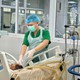 Người đàn ông 46 tuổi trở về từ châu Phi mắc sốt rét ác tính, suy đa tạng