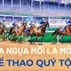 Đua ngựa mới là môn thể thao quý tộc!