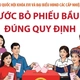 Bầu cử Quốc hội và HĐND: 6 bước bỏ phiếu bầu cử đúng quy định