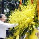 Tổng Bí thư, Chủ tịch nước Tô Lâm dâng hương tại Nghĩa trang liệt sĩ Quốc gia Trường Sơn