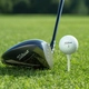 Trưởng phòng bị khiển trách, hạ chức vì chơi golf trong giờ hành chính