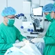 Suýt mất thị lực vì ong đốt vào mắt khi chạy xe