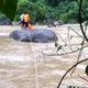 Cứu sống 3 người dân mắc kẹt giữa dòng nước lũ