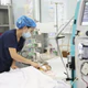 Bé trai 15 tháng tuổi suy đa tạng, sốc nhiễm độc vì 60 vết ong vò vẽ đốt