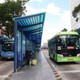 Miễn phí vé xe buýt, lượng khách tại TP. Hồ Chí Minh tăng hơn 30%