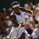 Link xem trực tiếp Wimbledon 2026 hôm nay 9/7
