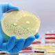 AI tạo virus có khả năng tiêu diệt vi khuẩn kháng thuốc