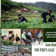 Gần dân, sát dân nơi phên giậu Tổ quốc