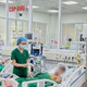 Hỏng gan, phù não vì tin bài thuốc trôi nổi trên mạng