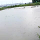 Ứng phó bão số 4: Bắc Ninh phát lệnh báo động lũ trên sông Thương, sông Lục Nam
