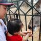 Hà Nội nghiên cứu mô hình công viên động vật bán hoang dã tại ngoại thành
