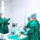 Hà Nội chưa có cơ sở nào được phép ứng dụng tế bào gốc trong khám, chữa bệnh