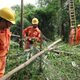 EVN tập trung bảo đảm điện trong mùa mưa bão