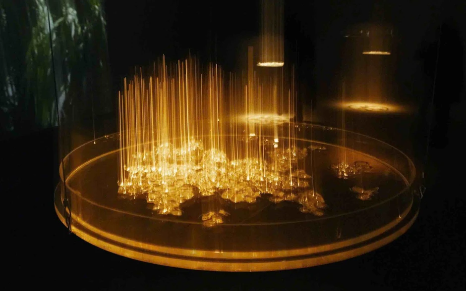 Triển lãm 'Tỏa V' - Cuộc đối thoại giữa nghệ thuật và khoa học